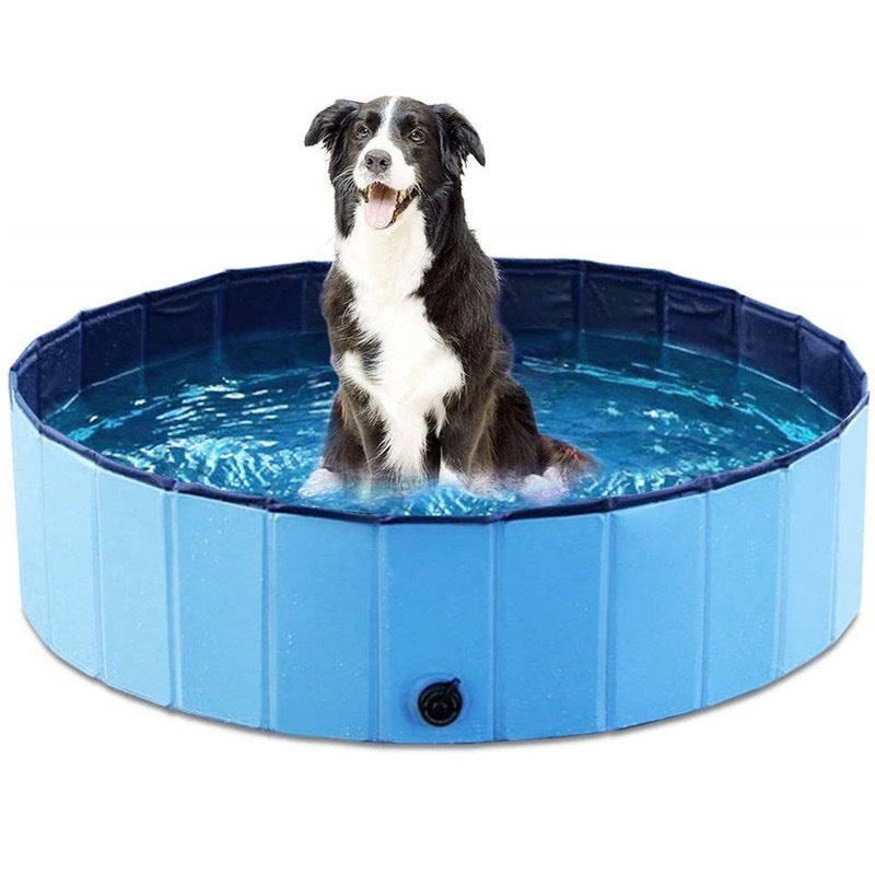 Piscina dobrável para pets