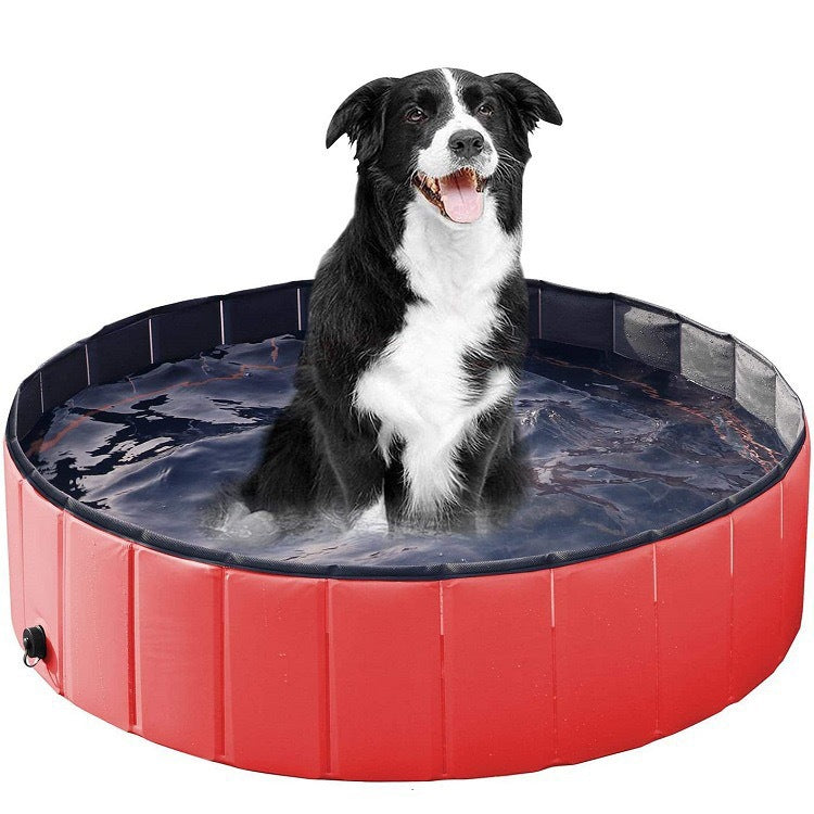 Piscina dobrável para pets