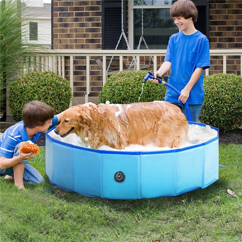Piscina dobrável para pets
