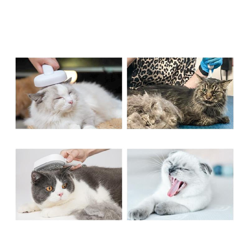 Pente Removedor de Pelos para Cães e Gatos